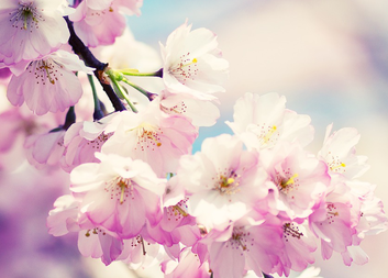 Výsledky literární soutěže k Mezinárodnímu dni žen