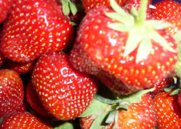 Dámský klub: Ukážu, co umím! - recepty a ochutnávky zavařenin