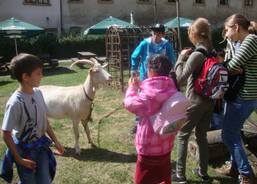 Výlet do Starých hradů v Českém ráji - 27. 8. 2014