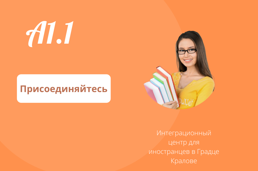 A1.1 A1.1