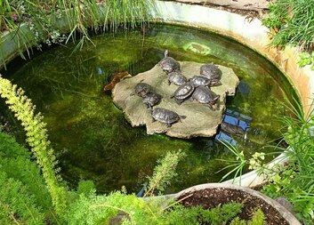 Výlet Flora Olomouc